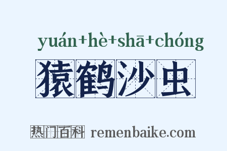 猿鹤沙虫是什么意思的图片